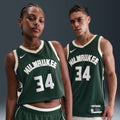Nike NBA Milwaukee Bucks Giannis Antetokounmpo Jersey