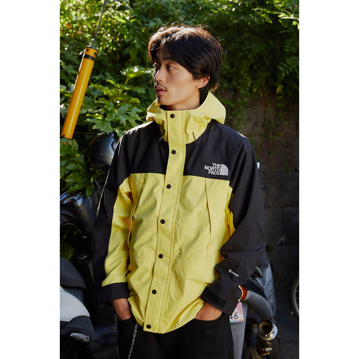 The North Face Mountain Light Jacket